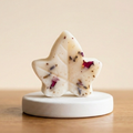 Fondant de 15 g offert